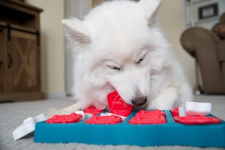 dog puzzle 3 1636970998 1636970998