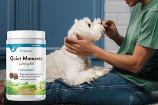 A person gives a dog a calming melatonin chew. A package of NaturVet Quiet Moments chews is visible.