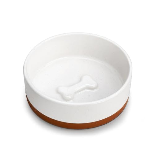 Dog Bowls