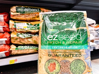 scotts-ez-seed-walmart-2