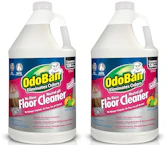 OdoBan Floor Cleaner 2-Pack