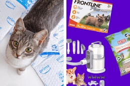 Amazon's Best Pet Deals for June: Flea Treatment, Cat Litter, and More card image