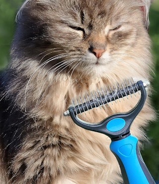 amazon-pat-your-pet-deshedding-brush-2023-1