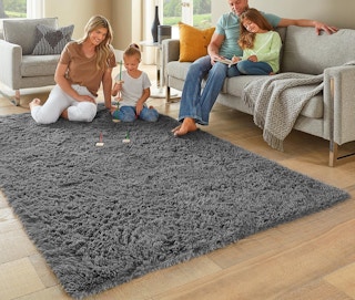 a family sitting in a living room with a grey plush rug