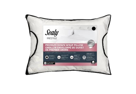 Sealy Bed Pillow