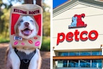 a dog wearing a kissing booth costume and petco store front