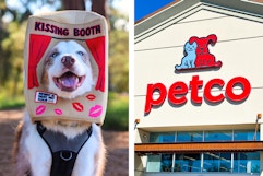 a dog wearing a kissing booth costume and petco store front