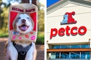 a dog wearing a kissing booth costume and petco store front