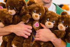 an arm full of build a bear lil cubs for national hug day