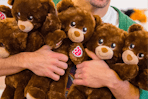an arm full of build a bear lil cubs for national hug day