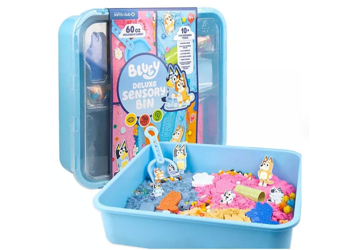 Bluey Deluxe Sensory Bin