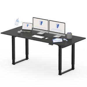 FLEXISPOT 4 Leg Standing Desk