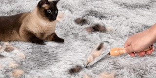 A hand rolling cat hair from a rug
