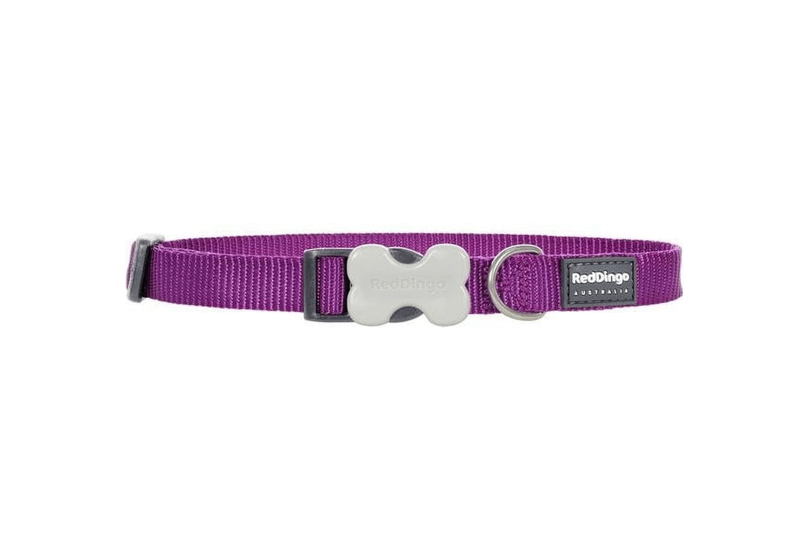 Purple Dog Collar