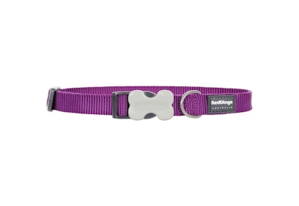 Purple Dog Collar