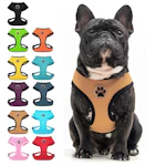 Small Dog Harness
