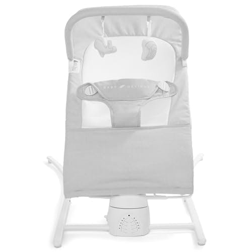 Baby Delight Alpine Wave Infant Swing