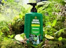 a green bottle of body wash in a forest 