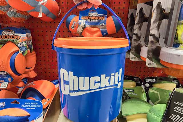 Sale on Chuckit Dog Toys: Prices Start at $4 at PetSmart card image