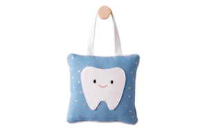 Pillowfort Kids' Tooth Fairy Pillow