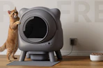 a cat climbing on a self-cleaning litter box