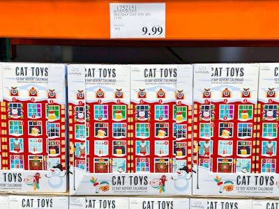 Cat Advent Calendar