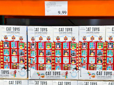 Cat Advent Calendar