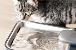 4.5-Liter Pet Water Fountain, Only $12.17 With Amazon Prime card image