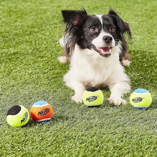 amazon nerf dog toys 1680027075 1680027075