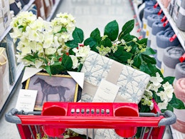 Target Studio McGee home decor