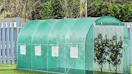a greenhouse with fruit trees in a yard