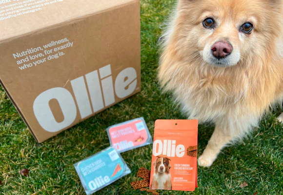 First Box + Free Beef Jerky Strips