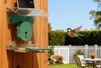 Smart Bird Feeder with Camera