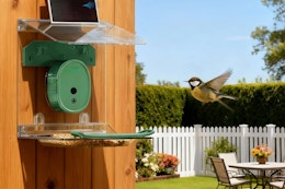 Smart Bird Feeder with Camera