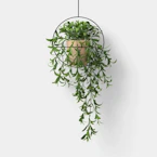 Threshold Hanging Artificial Plant