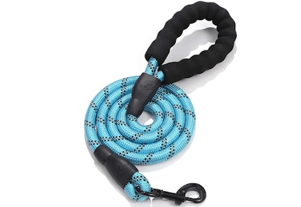 Heavy-Duty Dog Leash