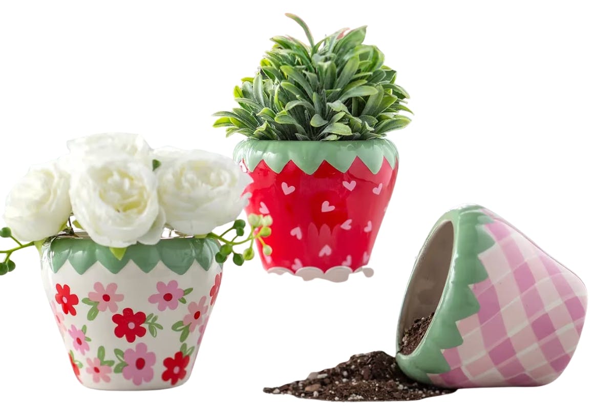 Ceramic Flower Pot Set