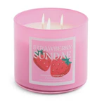 Distant Lands 3-Wick Candle