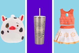 disney store