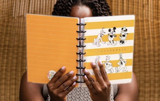 walmart-disney-the-happy-planner-2022