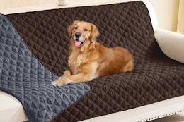 a dog on a couch cover