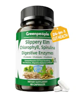 Digestive Enzymes