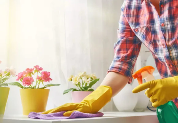 Cozy Maid House Cleaning