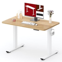 Electric Standing Desk