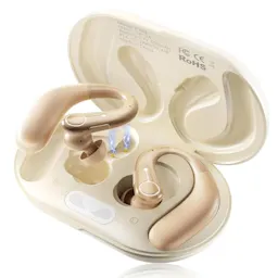 Hearing Aids