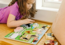 walmart melissa and doug chunky farm puzzle