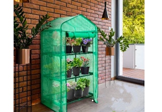 untilgone-greenhouse-jan-2023-a