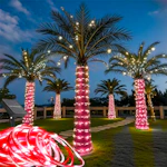 Solar Rope Lights