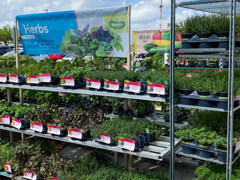 bonnies-vegetable-spring-lowes-2022-6