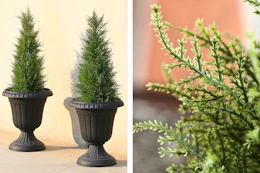 2 lifestyle images of cedar topiary trees (one close up shot)